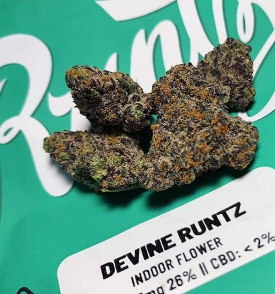 Devine Runtz Strain For Sale In Oregon