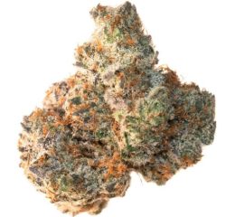 Where To Get Animal Cookies Strain Online In Oregon