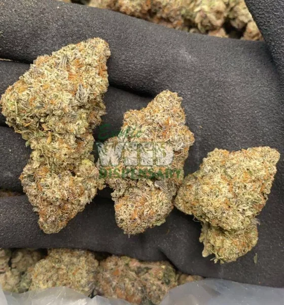 Where To Buy Bubba Kush Online In Oregon