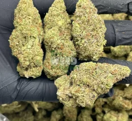 Where To Purchase AK 47 Strain Online In Oregon