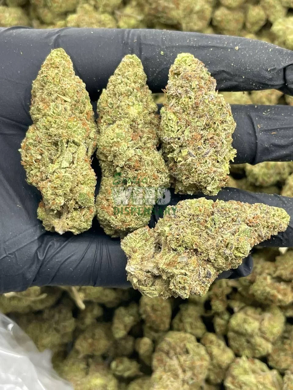 Where To Purchase AK 47 Strain Online In Oregon
