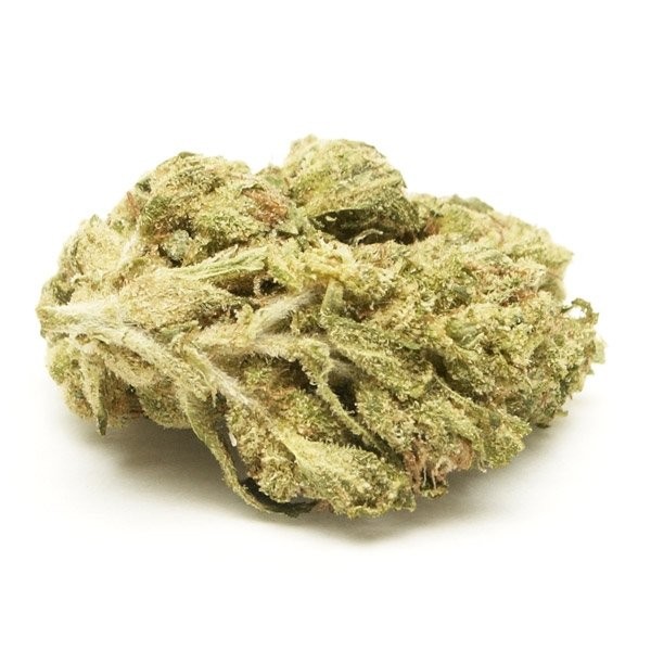 Where To Buy Berry White Strain Online In Oregon